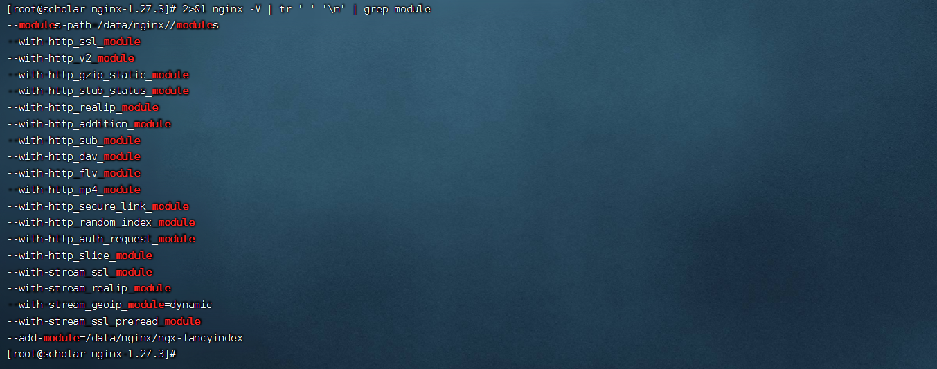 image-20250131195818674